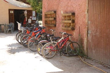 Bicicleta Roma