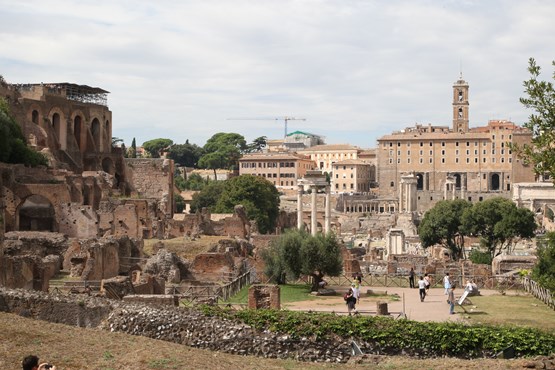 el foro romano